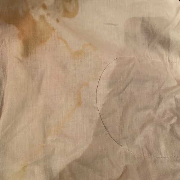 Vintage Toronto Raptors Blanket - Picture 2 of 5